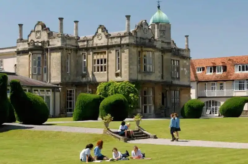 Video Programa Pitt Study UK